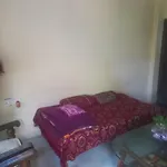 Viraj Tours And Travels And Homestay Indore