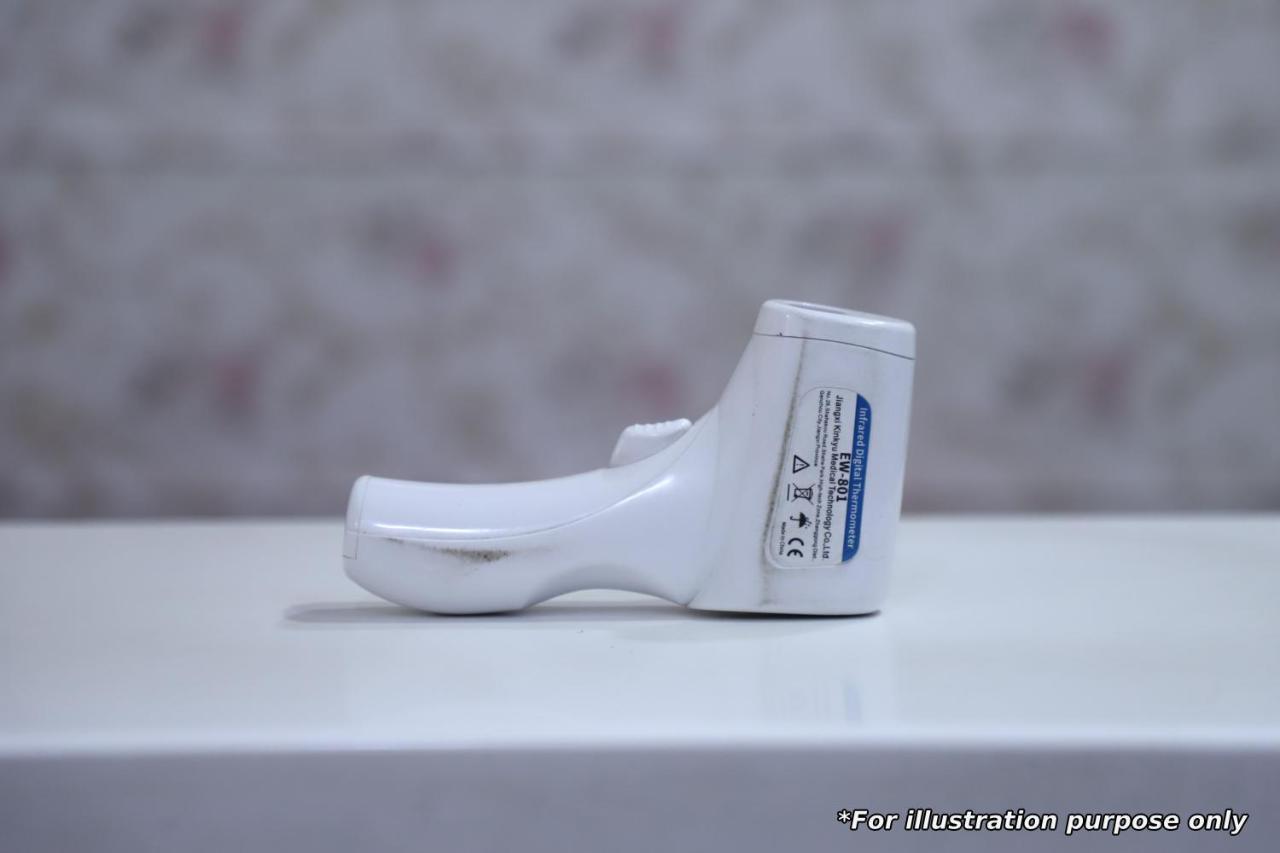 Capital O 87058 Ashoka Regency 3*