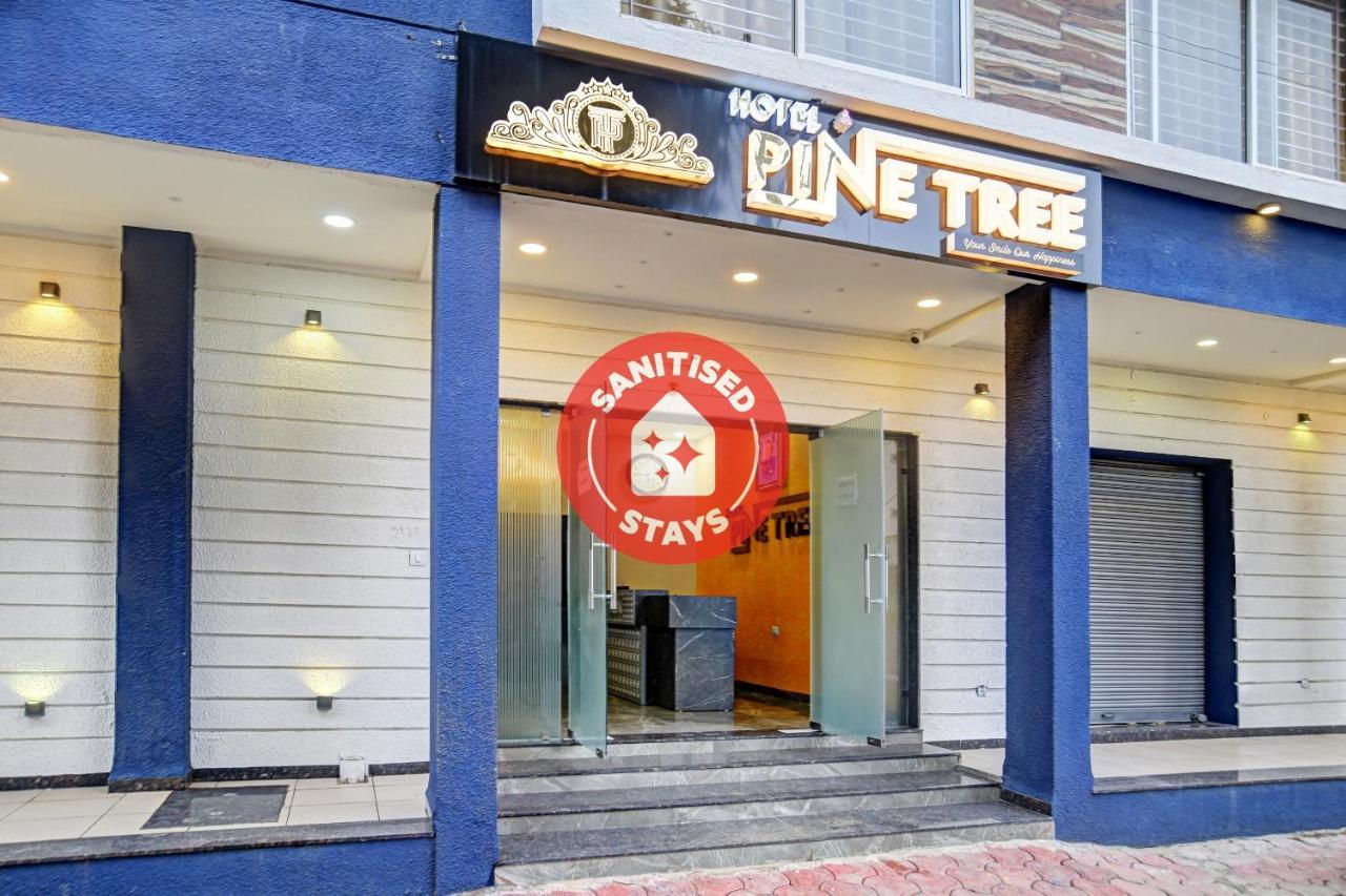 Super Townhouse Pine Tree Indore