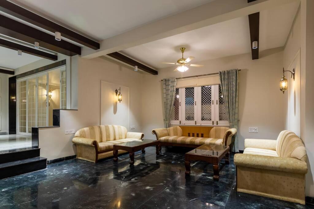 The Mangrove * Indore