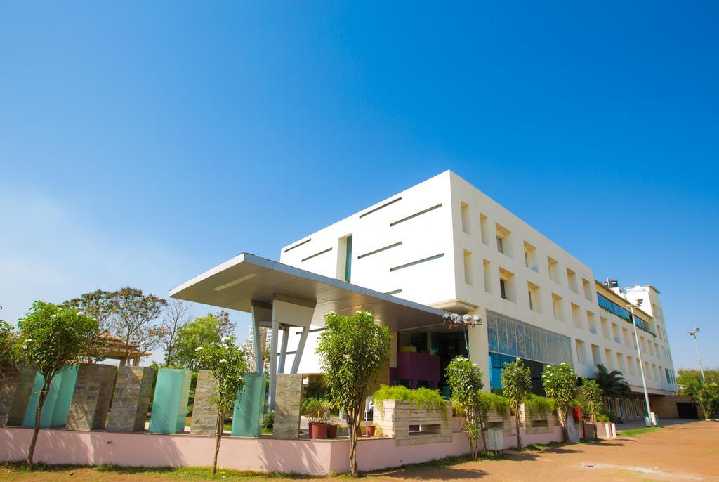 Waterlily Indore