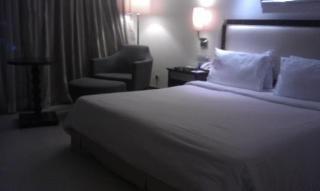 Sarovar Portico 4* Indore