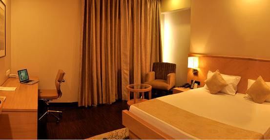 Hotel Balwas International