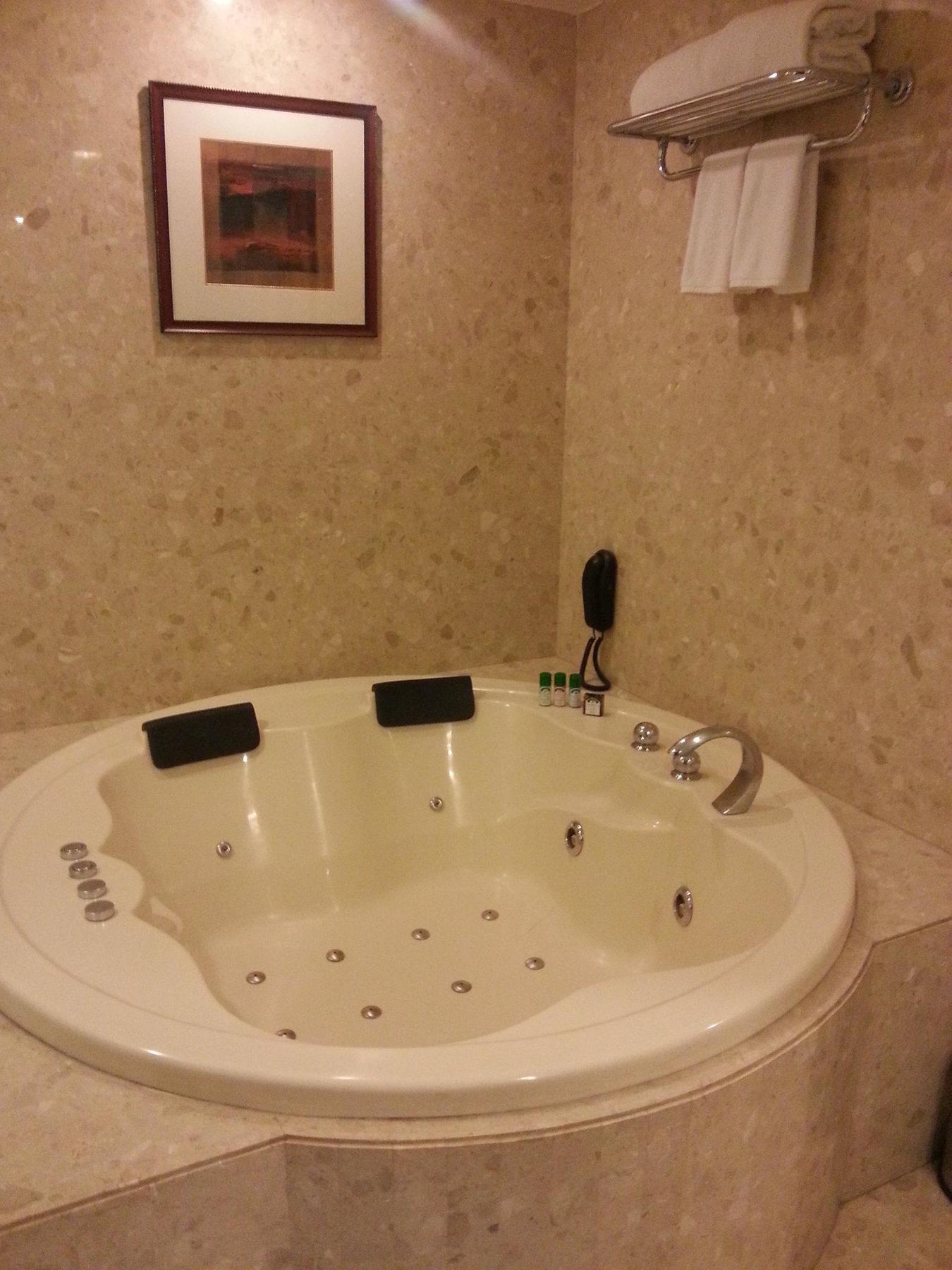 Hotel Landmark Indore