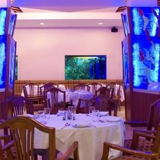 Shreemaya Hotel Indore