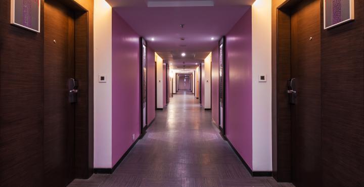 Hotel Effotel By Sayaji