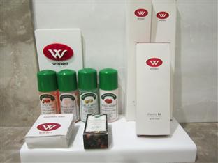 Winway 4*